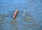 DSC 8505
